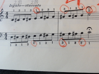 半音階 練馬区ピアノ教室 習い事