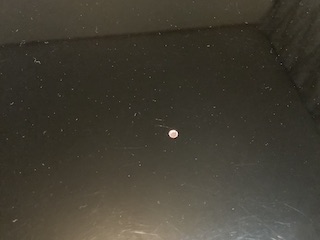 ビーズ 保谷ピアノ教室